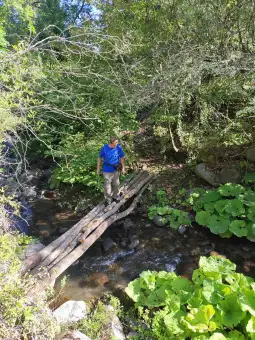 гого вир бохула